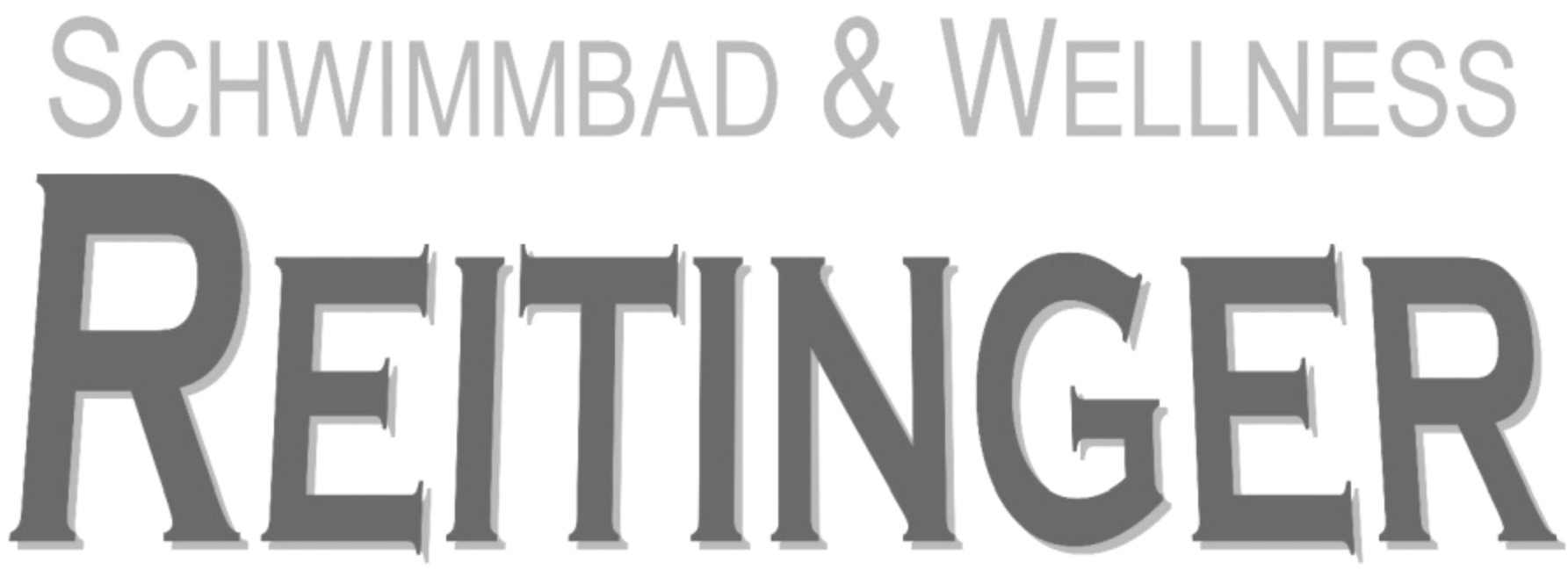 logo-grau-reitinger